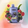 Одноразова електронна сигарета Elf Bar (Ельф Бар) GH 23000 - Blueberry Cherry Cranberry (Чорниця, Вишня, Журавлина)