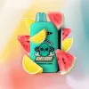 Одноразовая электронная сигарета Elf Bar (Эльф Бар) GH 23000 - Watermelon Lemon (Арбуз, Лимон)