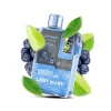 Одноразова електронна сигарета Lost Mary (Лост Мері) OS 12000 - Blueberry Lime (Чорниця, Лайм)