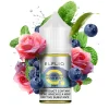 Сольова рідина ElfLiq Salt 30 мл (50 мг) - Blueberry Rose Mint (Чорниця, Троянда, М'ята)