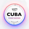 Снюс Cuba - Forest Berries 16 мг