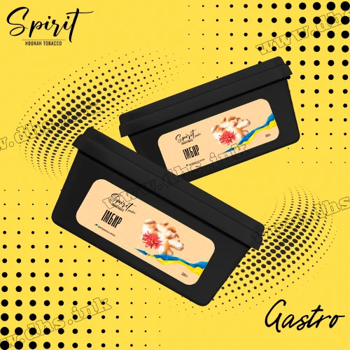 Табак Spirit (Спирит) Gastro - Имбирь 200г