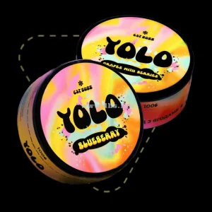 Yolo-cat-img