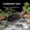Тютюн Blacksmok (Блексмок) - Currant Day (Чорна Смородина) 200г