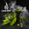 Тютюн Burn Black (Берн Блек) - Cane Mint (Тросніковая М'ята) 50г