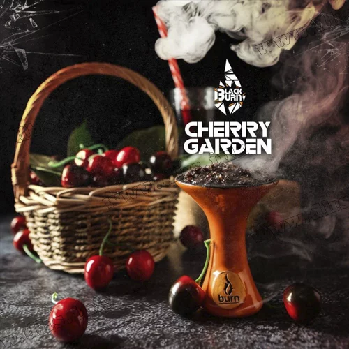 Табак Burn Black (Берн Блек) - Cherry Garden (Вишневый Сад) 50г
