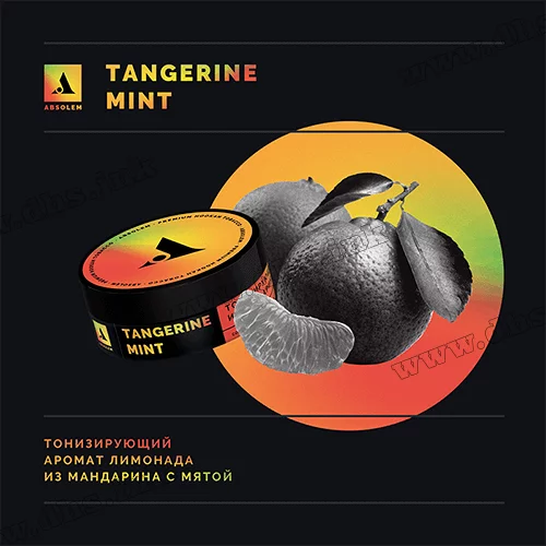 Табак Absolem (Абсолем) Tangerine mint (Мандарин со льдом) 40г