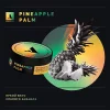 Тютюн Absolem Pineapple palm (Ананас) 40г