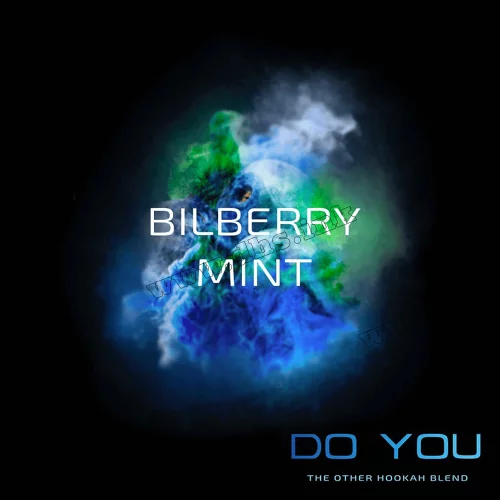 Бестабачная смесь Do You (Ду Ю) - Bilberry Mint (Черника, Мята) 50г