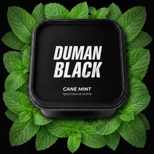 Табак Duman Black (Думан Блэк) - Cane Mint (Тростниковая Мята) 200г