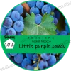 Тютюн Tangiers (Танжирс) birquq - Little purple candy Чорний виноград 50г