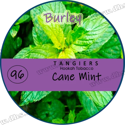Табак Tangiers (Танжирс) burley - Cane mint Мята 250г