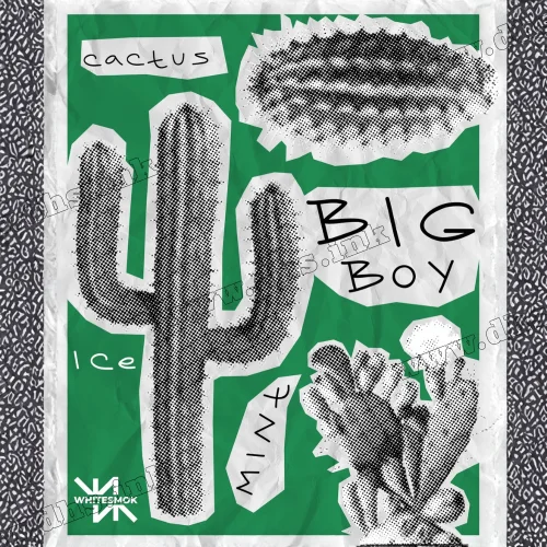 Табак Whitesmok (Вайт Смок) - Big Boy (Кактус, Мята, Лед) 50г