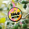 Табак Yolo (Йоло) - Feijoa (Фейхоа) 100г