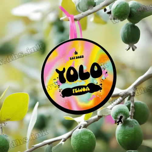 Тютюн Yolo (Йоло) - Feijoa (Фейхоа) 100г