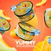 Тютюн Yummy (Яммі) - Фруктове Морозиво (Манго, Персик, Диня) 100г